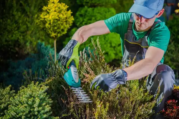 landscaping services Cheviot
